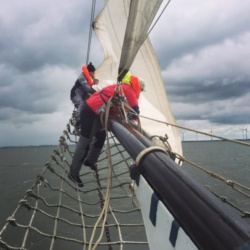 Segelsetzten Pfingstsegeln 2016