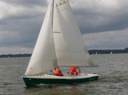 Zugvogel