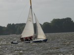 Zugvogel