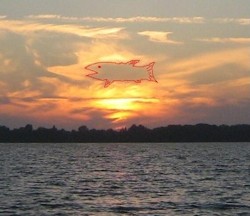 Wolkenfisch