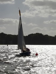 Regatta