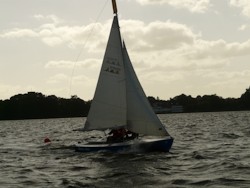 Regatta